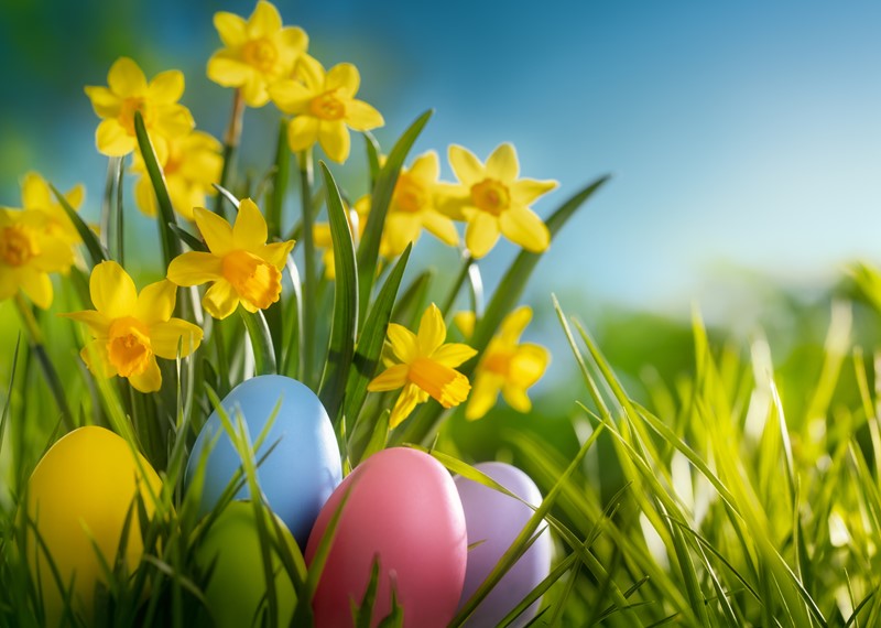 Aangepaste openingstijden Pasen en Goede Vrijdag